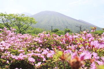 山の見える鹿の原の景色