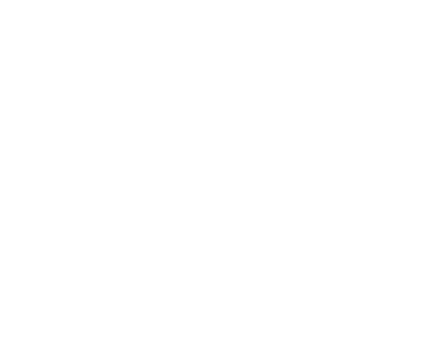 Digital image of flowers