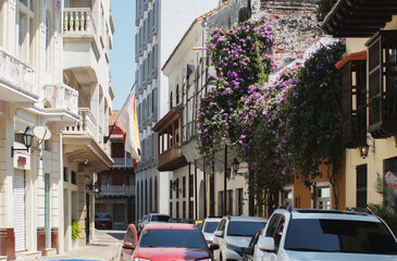Fototapeta premium old buildings surrounded by plants and flowers, beautiful sunny day in the center of the city of cartagena.