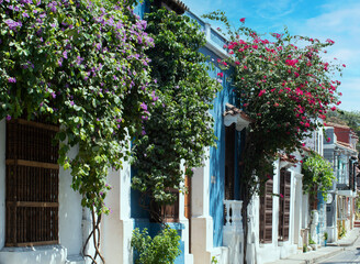 beautiful colonial houses decorated with plants and flowers and blue sky in the streets of cartagena de indias - colombia