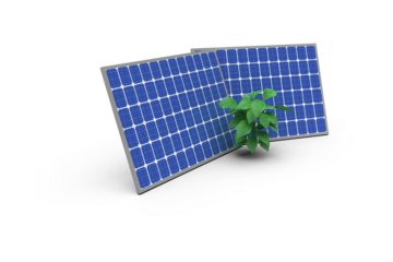 Plant against 3D solar panel