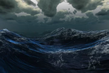 Tuinposter Stormy sea under dark sky © vectorfusionart