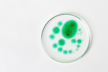 Petri dish on a light background. Green drops, bacteria. or viruses. Mold. Laboratory,...