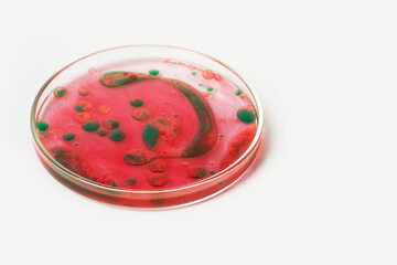 Petri dish on a light background. Green and red drops, bacteria. or viruses. Mold. Dilution. Laboratory, biochemistry, chemistry, science. Study.