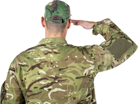 Rear view of soldier saluting