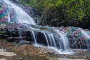 Fototapeta premium rocks glow like an oily rainbow under the flow fresh water above them, leaving them wet and slippery while the cold water drops from a higher elevation
