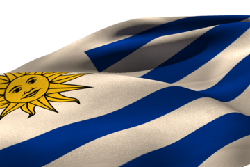 Waving Uruguayan flag