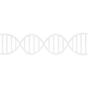 Digital composite image of  DNA