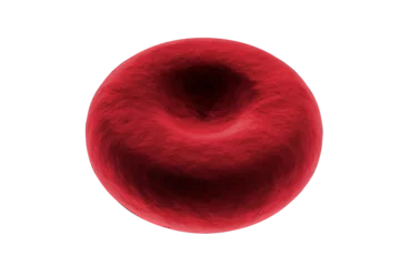 Fototapeten Digital image of red blood cell © vectorfusionart