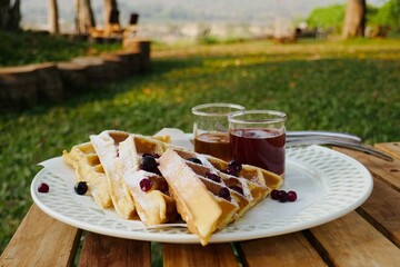 Plate of waffles with jam and honey is set in garden