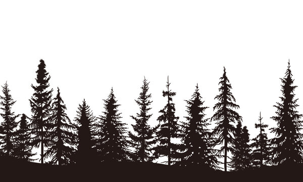Pine tree vector illustration set. Black silhouette landscape.