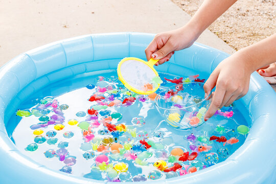 夏のイメージ｜金魚すくい、スーパーボール