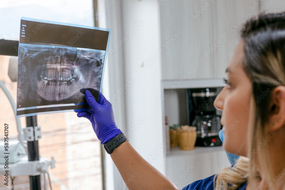 Wall mural An experienced dentist holding a panoramic dental x-ray to review a patient's oral health