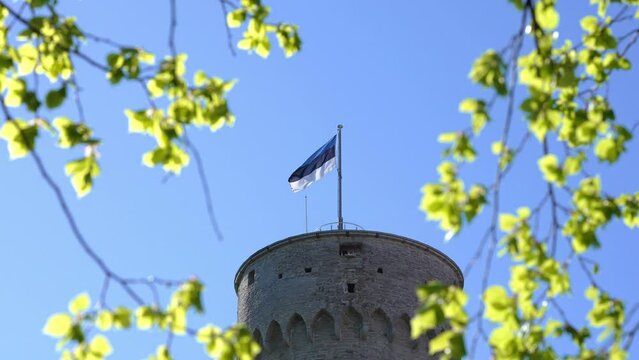 Estonian flag in high Herman Tower in sunny summer day. Tallinn, Estonia, Europe.