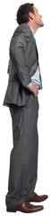 Smiling businessman with hands on hips