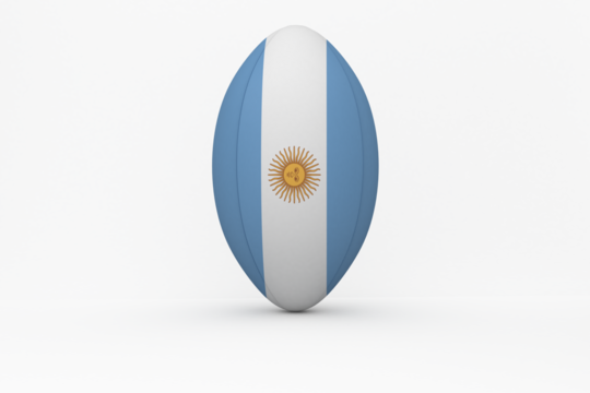 Argentinian flag rugby ball