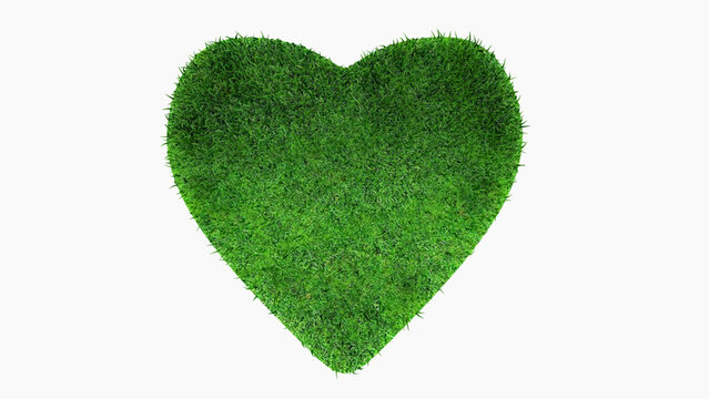 Green lawn heart shape on white background,environmental conservation,3d rendering