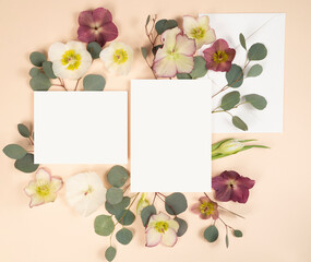 Fototapeta na wymiar Floral stationery flat lay with fresh hellebore flowers and blank invitation and envelope on light cream background