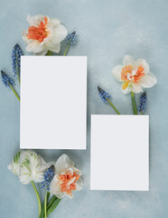 Flat lay with fresh daffodils and muscari and blank bridal stationery invitations