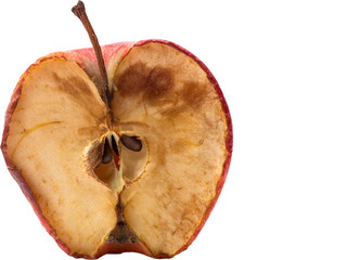 Close-up of rotten apple 