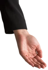Sierkussen Hand presenting © vectorfusionart