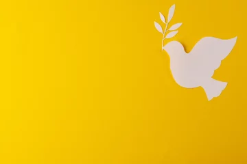 Plexiglas foto achterwand Close up of white dove with leaf and copy space on yellow background © vectorfusionart