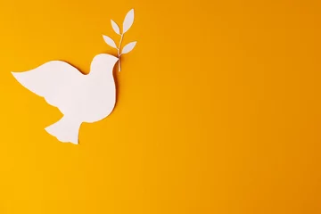  Close up of white dove with leaf and copy space on yellow background © vectorfusionart