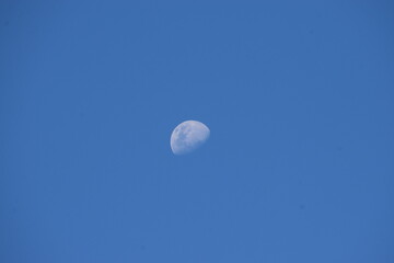 day moon in blue sky