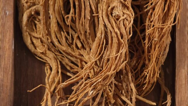 Rotation angle moves from the bottom up of Angelica root (Angelica sinensis) displayed on wooden tray. Healthy herb content