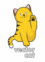 cat with a smile