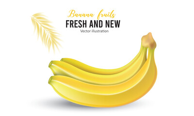 banana on white background with Vector Design © Designcreator99