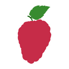 Raspberry icon
