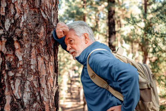 Old Senior Bearded Man in a Trekking Day in the Mountain Woods Stops and Leans Against Tree Trunk to Catch his Breath