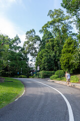 Here is a few nice picture of the luxurious botanic garden in singapore