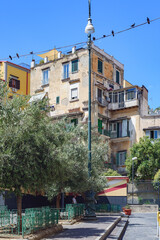 Naples, Italy. View of Piazzetta Olivella, with the facades of old buildings, near the Montesanto station of Metro Line 2. Many pigeons standing on the power cables. Vertical image. 2022-08-20.
