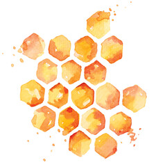 Yellow honeycomb painted by watercolor.Hand drawn insect illustration.