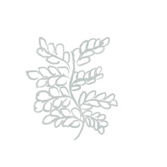 star on white background flash glitter ornament sun star bomb droplet bubble grey