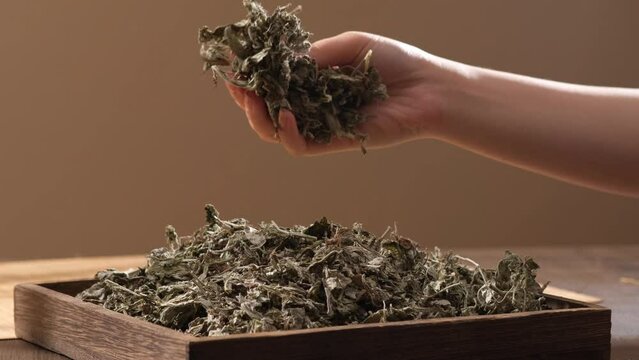 Female hand holding a handful of dried wormwood and scattering it on a wooden tray on a brown background. Chinese herbal medicine.