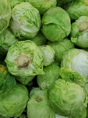 green cabbage in the market