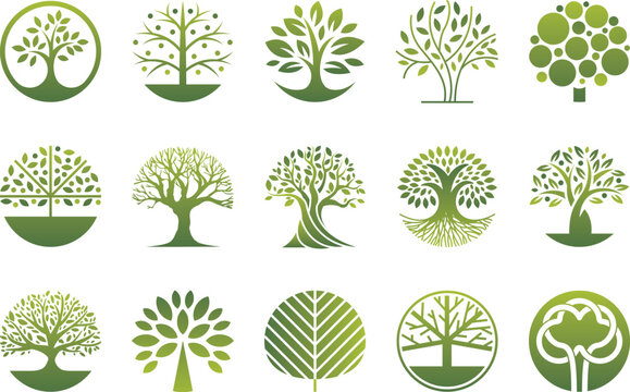 Vector tree logo - set of abstract organic design element elements, badges, labels.