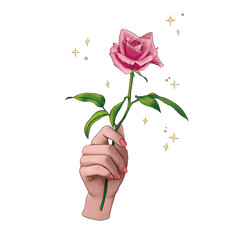 hand holding a beautiful rose