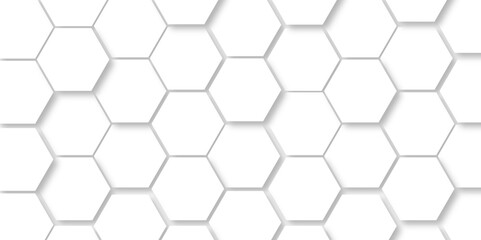 Abstract hexagon background white 3d Hexagonal structure futuristic white background and Embossed Hexagon , honeycomb white Background ,light and shadow ,Vector illustration.