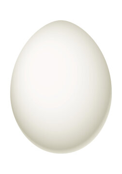 recommend clip art: Egg - illustration of white egg on white background