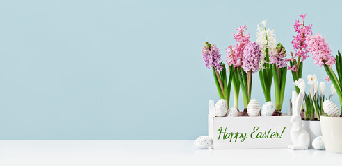 Easter eggs with white bunny with many potted tender pink spring blooming garden hyacinth flowers on blue background. Side view. Happy Easter text with Copy space. Egg hunt wide banner