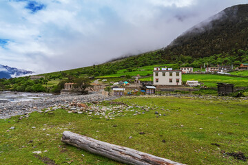 Obraz premium Meili Snow Mountains and Grassland Pastures in Nyingchi, Tibet Autonomous Region, China on June 11, 2022