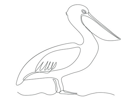 recommend clip art: abstract Pelican Continuous On Line Drawing
