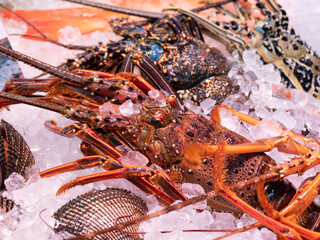 泊いゆまちで売られている魚介類