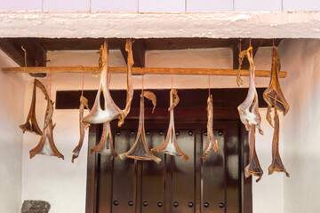 Traditional dried fish in front of a Cudillero house, Asturias, Spain