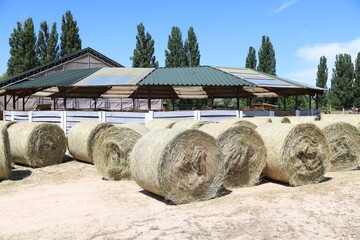 Horse feed warehouse. Farm Animal Care