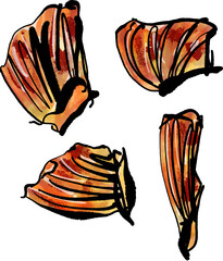 フグのヒレ酒に入れるふぐひれのイラスト